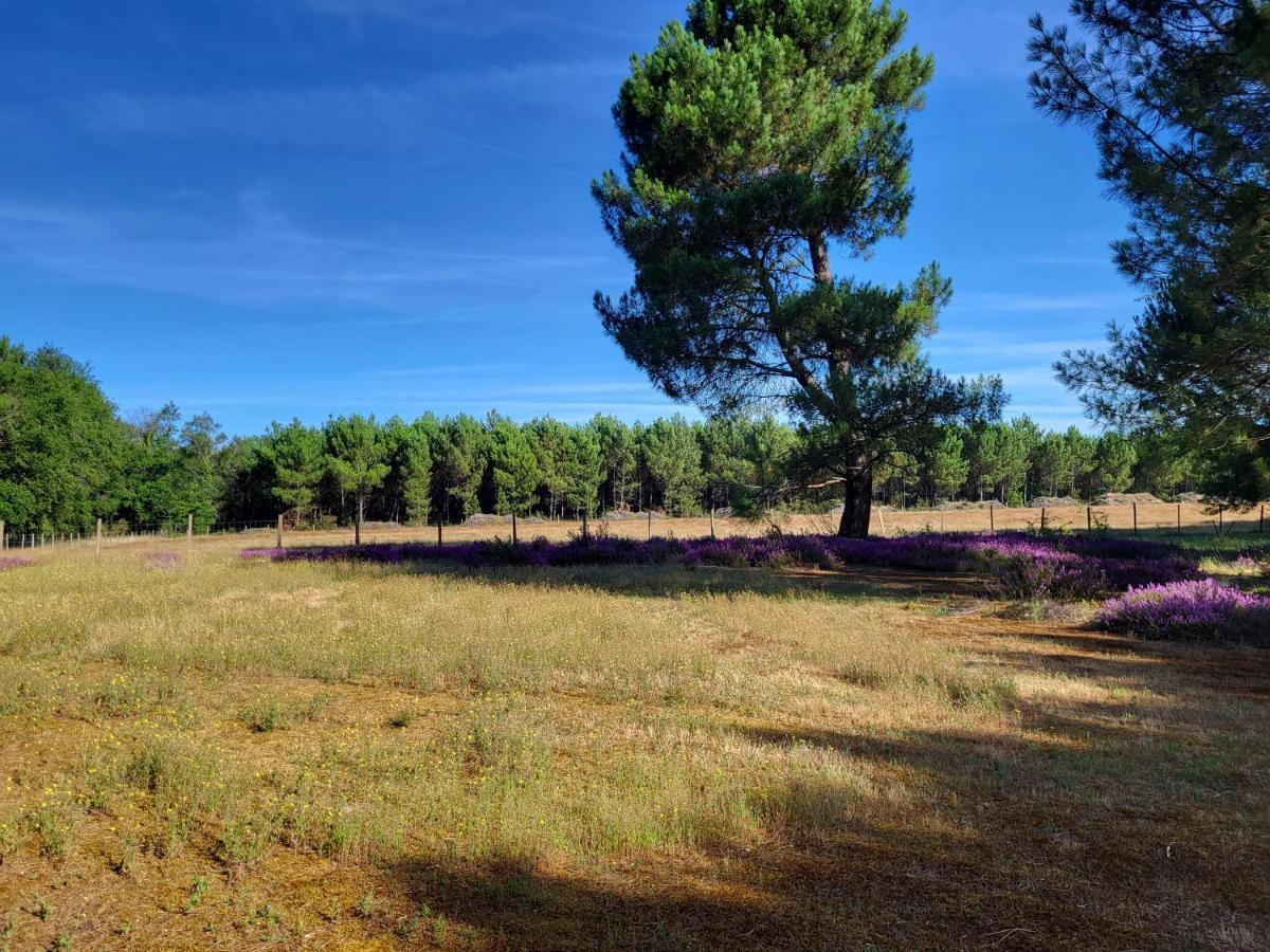 לינה וארוחת בוקר Saugon Domaine De La Sarrotte מראה חיצוני תמונה